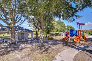 19414 Morden Blush Dr, Lutz, FL 33558 - Photo 37