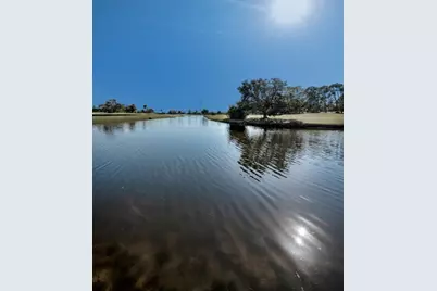 1200 Country Club Drive #2205, Largo, FL 33771 - Photo 81