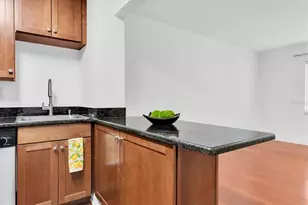 210 5th Ave S, Saint Petersburg, FL 33701 - Photo 13