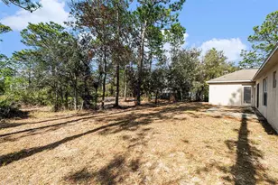 18063 Parrot Rd, Weeki Wachee, FL 34614 - Photo 31