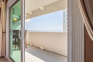 4141 Bayshore Blvd, Tampa, FL 33611 - Photo 27