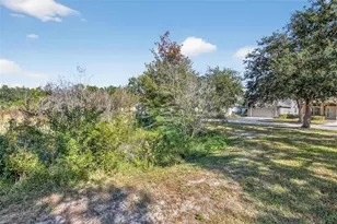 20703 Great Laurel Ave, Tampa, FL 33647 - Photo 71