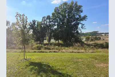 6779 Flint Creek Drive, Land O Lakes, FL 34638 - Photo 45