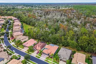 2961 Calvano Dr, Land O Lakes, FL 34639 - Photo 67