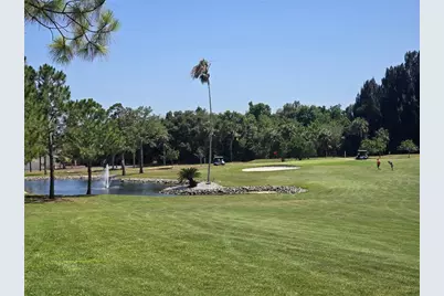 78 Rachel Drive, Tarpon Springs, FL 34689 - Photo 75