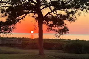 621 Windrush Bay Dr, Tarpon Springs, FL 34689 - Photo 3