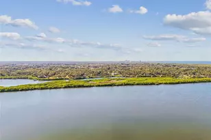 7502 Lone Star Pl, Riverview, FL 33578 - Photo 59