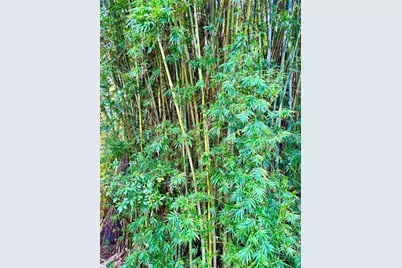 19814 Moorgate Street, Orlando, FL 32833 - Photo 17