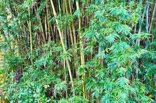 19814 Moorgate St, Orlando, FL 32833 - Photo 17