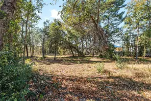 11684 SW 56th Terrace, Ocala, FL 34476 - Photo 141