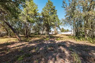 11684 SW 56th Terrace, Ocala, FL 34476 - Photo 147