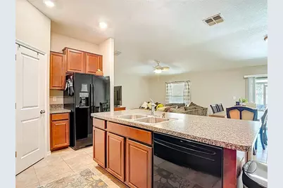 39946 Dawson Chase Drive, Zephyrhills, FL 33540 - Photo 9