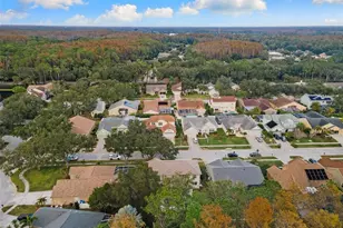 4242 Ellinwood Blvd, Palm Harbor, FL 34685 - Photo 31