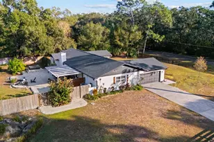 7811 Pineview Dr, Odessa, FL 33556 - Photo 59