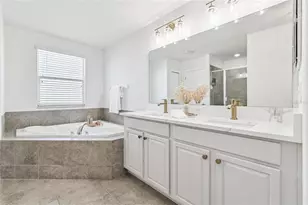 21143 Passive Porch Dr, Land O Lakes, FL 34637 - Photo 19