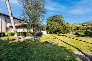 2909 Lichen Ln, Clearwater, FL 33760 - Photo 35