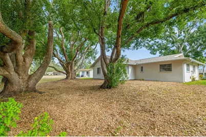 142 Stafford Circle, Palm Harbor, FL 34684 - Photo 29