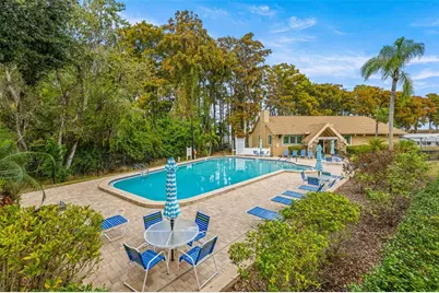 142 Stafford Circle, Palm Harbor, FL 34684 - Photo 43