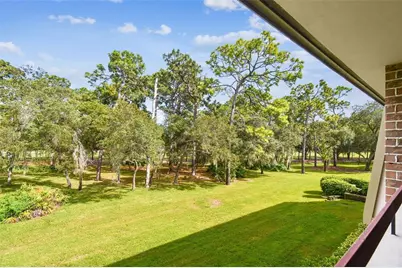 36750 US Highway 19 N #24211, Palm Harbor, FL 34684 - Photo 35