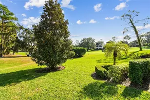 1580 Lavello Ln, Palm Harbor, FL 34683 - Photo 87