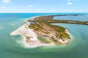 1956 Cedar Dr, Dunedin, FL 34698 - Photo 3