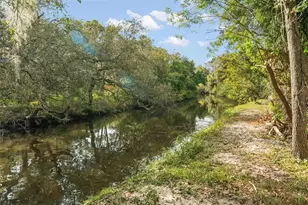 1245 Curlew Rd, Dunedin, FL 34698 - Photo 37