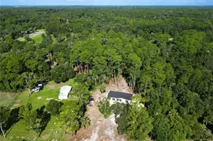 50 Neeld, Inglis, FL 34449 - Photo 39