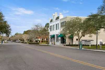 311 Vista Cruiser Lane, Oldsmar, FL 34677 - Photo 47