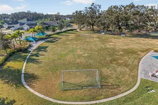 10915 Blue Magnolia Ln, Parrish, FL 34219 - Photo 79