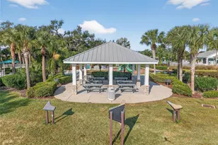 10915 Blue Magnolia Ln, Parrish, FL 34219 - Photo 81