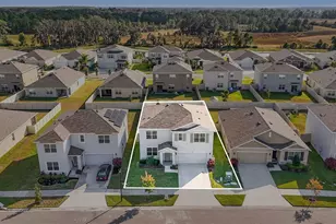 33548 Elm Hl Br, Wesley Chapel, FL 33545 - Photo 47