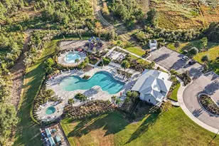 33548 Elm Hl Br, Wesley Chapel, FL 33545 - Photo 39