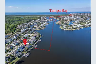 5245 Brighton Shore Drive, Apollo Beach, FL 33572 - Photo 3