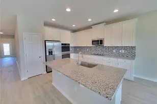 17618 Cortes Creek Blvd, Spring Hill, FL 34610 - Photo 5