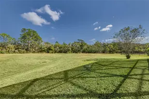 723 Cajeput Loop, Tarpon Springs, FL 34689 - Photo 69