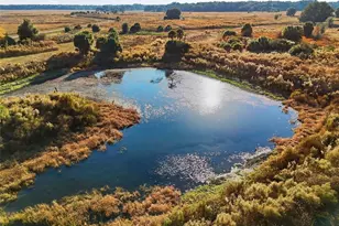 10524 SW 75th Way, Gainesville, FL 32608 - Photo 51