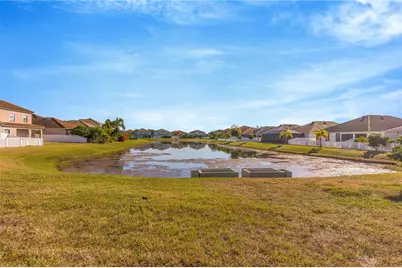 11954 Cinnamon Fern Drive, Riverview, FL 33579 - Photo 11