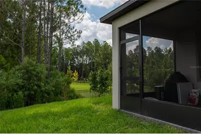 10125 Campanula Court, Land O Lakes, FL 34637 - Photo 19
