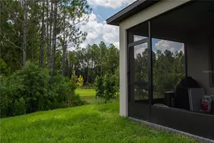 10125 Campanula Ct, Land O Lakes, FL 34637 - Photo 19