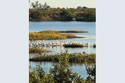 1007 NW 82nd Street, Bradenton, FL 34209 - Photo 49