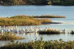 1007 NW 82nd St, Bradenton, FL 34209 - Photo 49