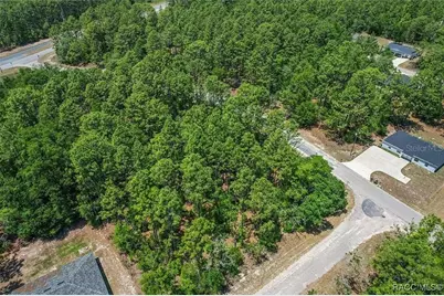 9410 N Peachtree Way, Citrus Springs, FL 34434 - Photo 7