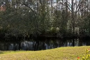 [Address not provided], Land O Lakes, FL 34637 - Photo 5