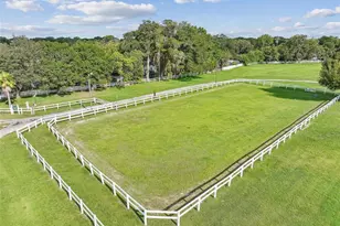 3643 Greatwood Ct, Land O Lakes, FL 34639 - Photo 51