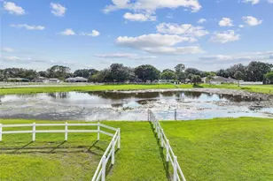 3643 Greatwood Ct, Land O Lakes, FL 34639 - Photo 41