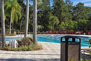 20403 Harvest Oak Ct, Tampa, FL 33647 - Photo 17