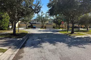 20403 Harvest Oak Ct, Tampa, FL 33647 - Photo 3