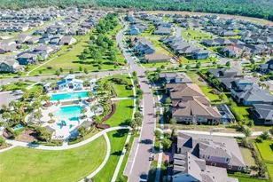 14309 Azalea Pond Ct, Lithia, FL 33547 - Photo 73