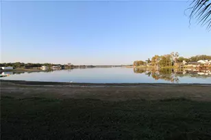 2537 Cedar Cypress Ct., Tampa, FL 33618 - Photo 13