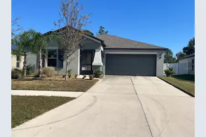 13403 Willow Bluestar Loop, Riverview, FL 33579 - Photo 1